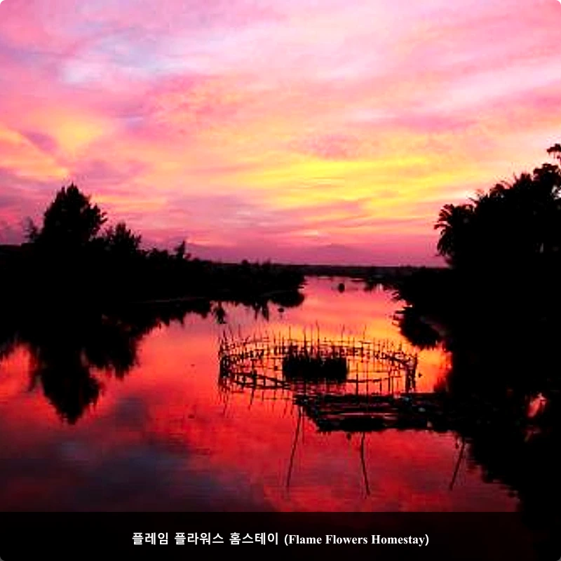 플레임 플라워스 홈스테이 (Flame Flowers Homestay)_5