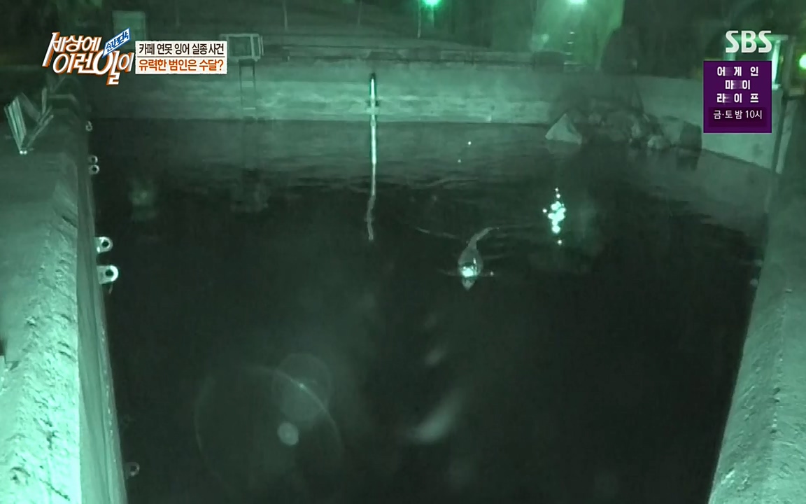 순간포착 세상에 이런일이.E1175.220413p-NEXT.mp4_20220413_175830.415.jpg