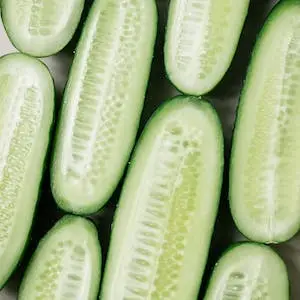 오이-cucumber