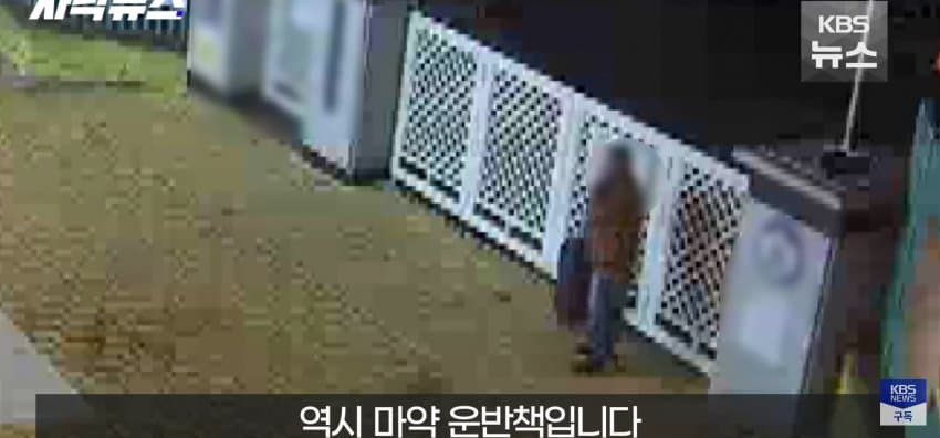 img.jpg