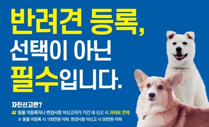 반려견-등록-포스터