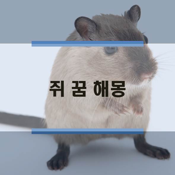  새끼 쥐 꿈, 태몽, 쥐에 관한 꿈 해몽