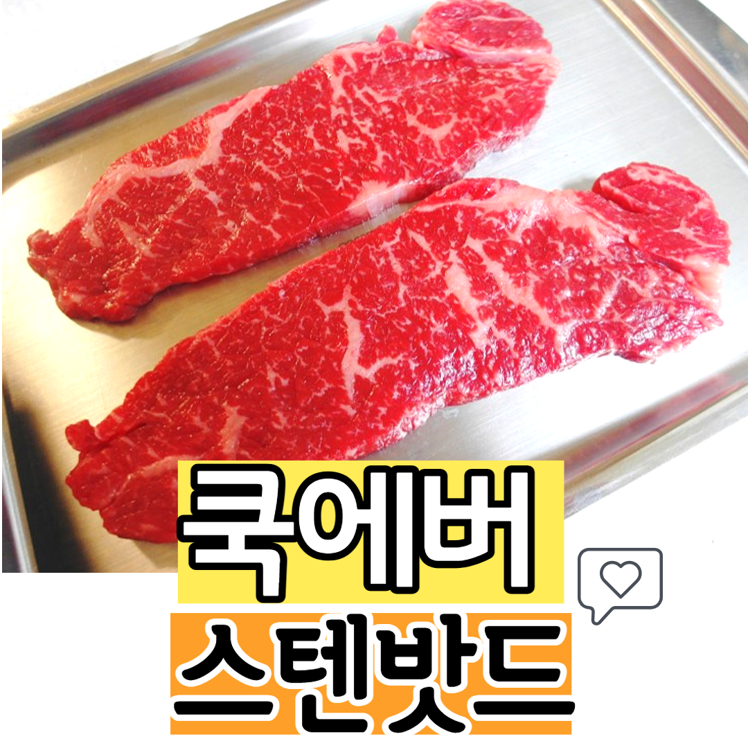  스텐밧드 스텐바트 야채보관용기 실용성 갑