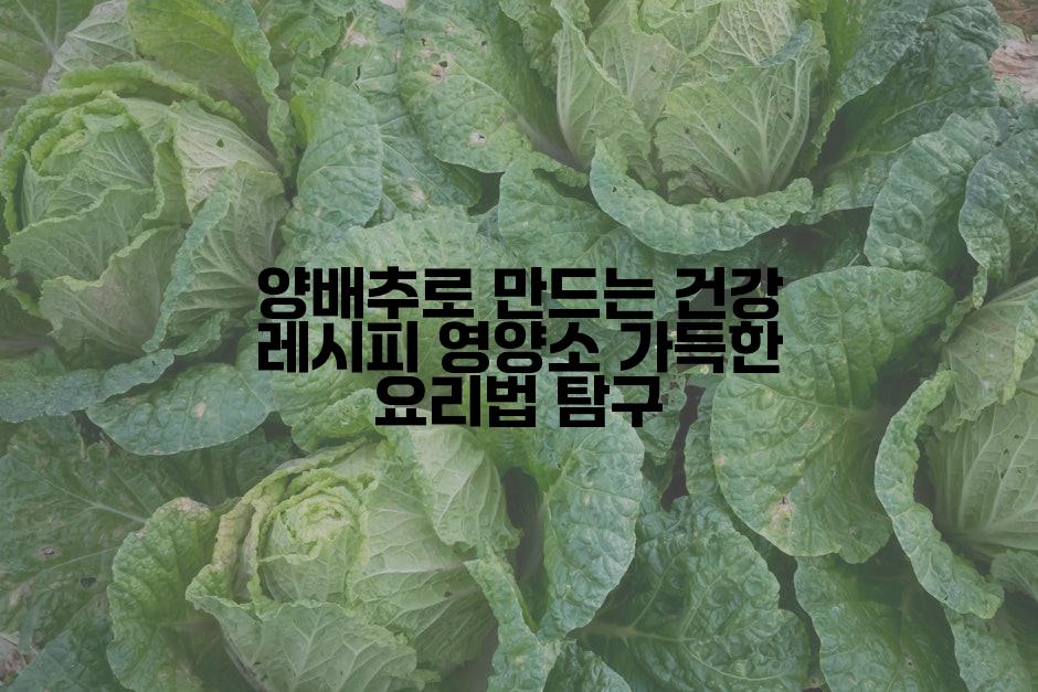 양배추로 만드는 건강 레시피 영양소 가득한 요리법 탐구