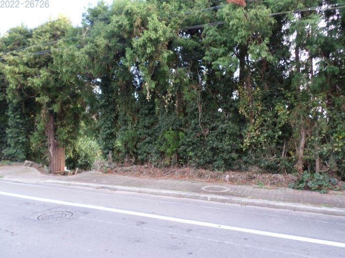 제주도 과수원 경매 감귤 농장 경매 서귀포시 안덕면 서광리 토지 경매 농지 경매 4