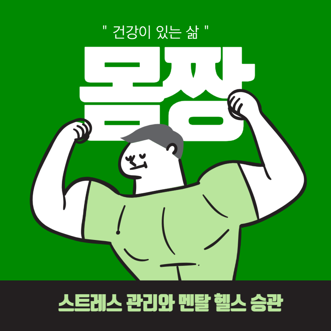  스트레스 관리와 멘탈 헬스 습관: 명상 기법, 숙면 유도 방법, 긍정적인 생각 육성 전략 등