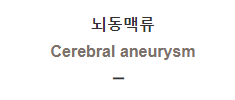  뇌동맥류 [Cerebral aneurysm]