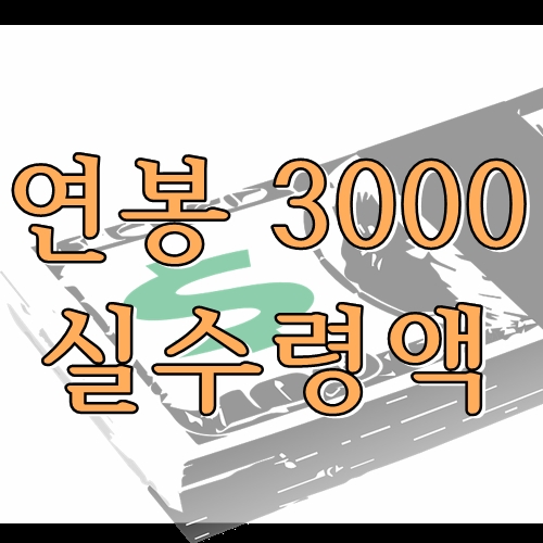  연봉 3000 실수령액