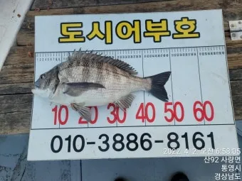 통영 감성돔낚시 후기 물때 조금_14