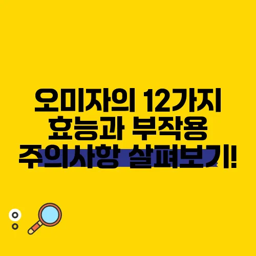오미자의 12가지 효능과 부작용 주의사항 살펴보기!