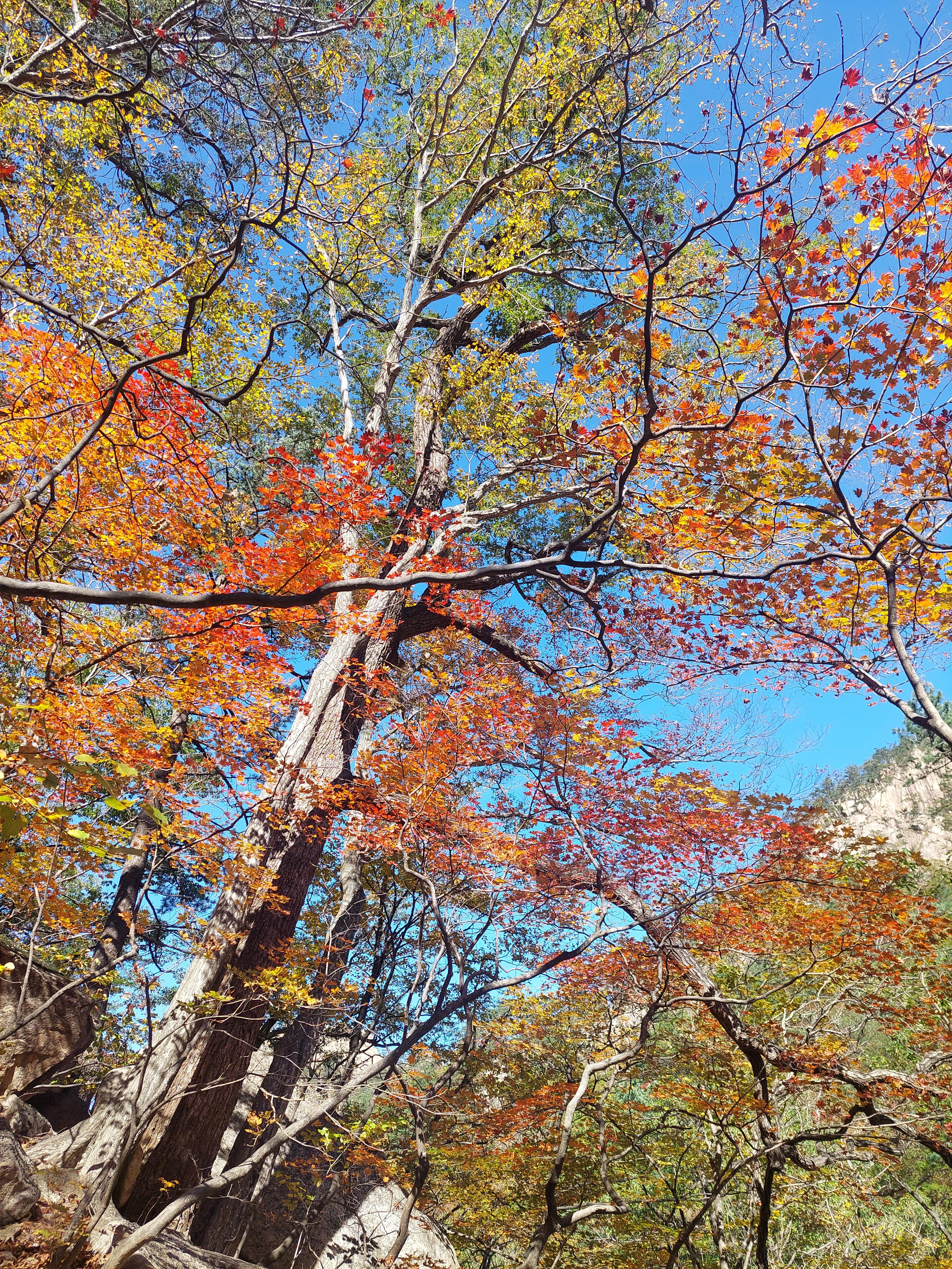 설악산