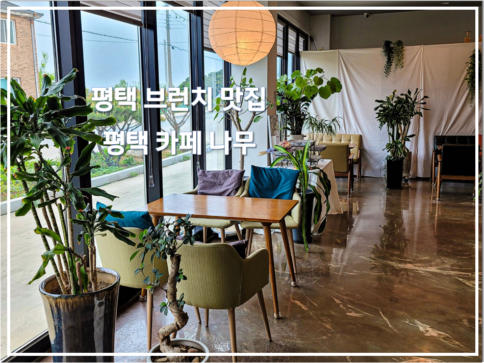 커피나무브런치 이미지