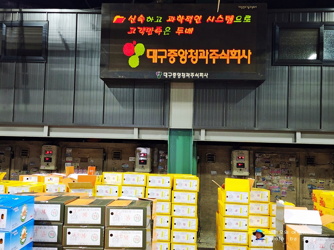 농산물청과 이미지