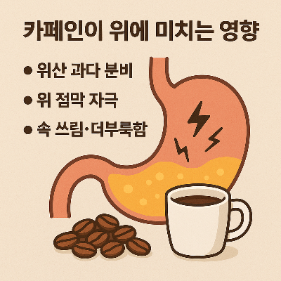 카페인이 위에 미치는 영향 이미지 - 위장에 자극을 주는 커피 일러스트 표현