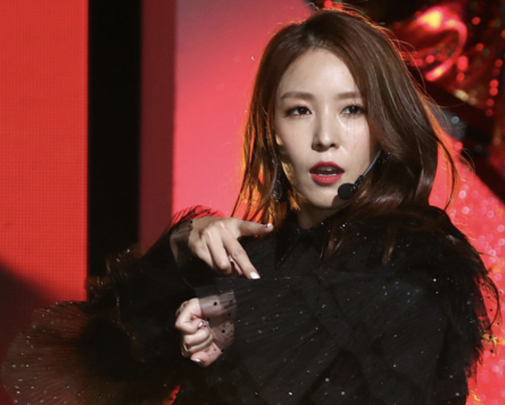  보아 졸피뎀 밀반입 의혹
