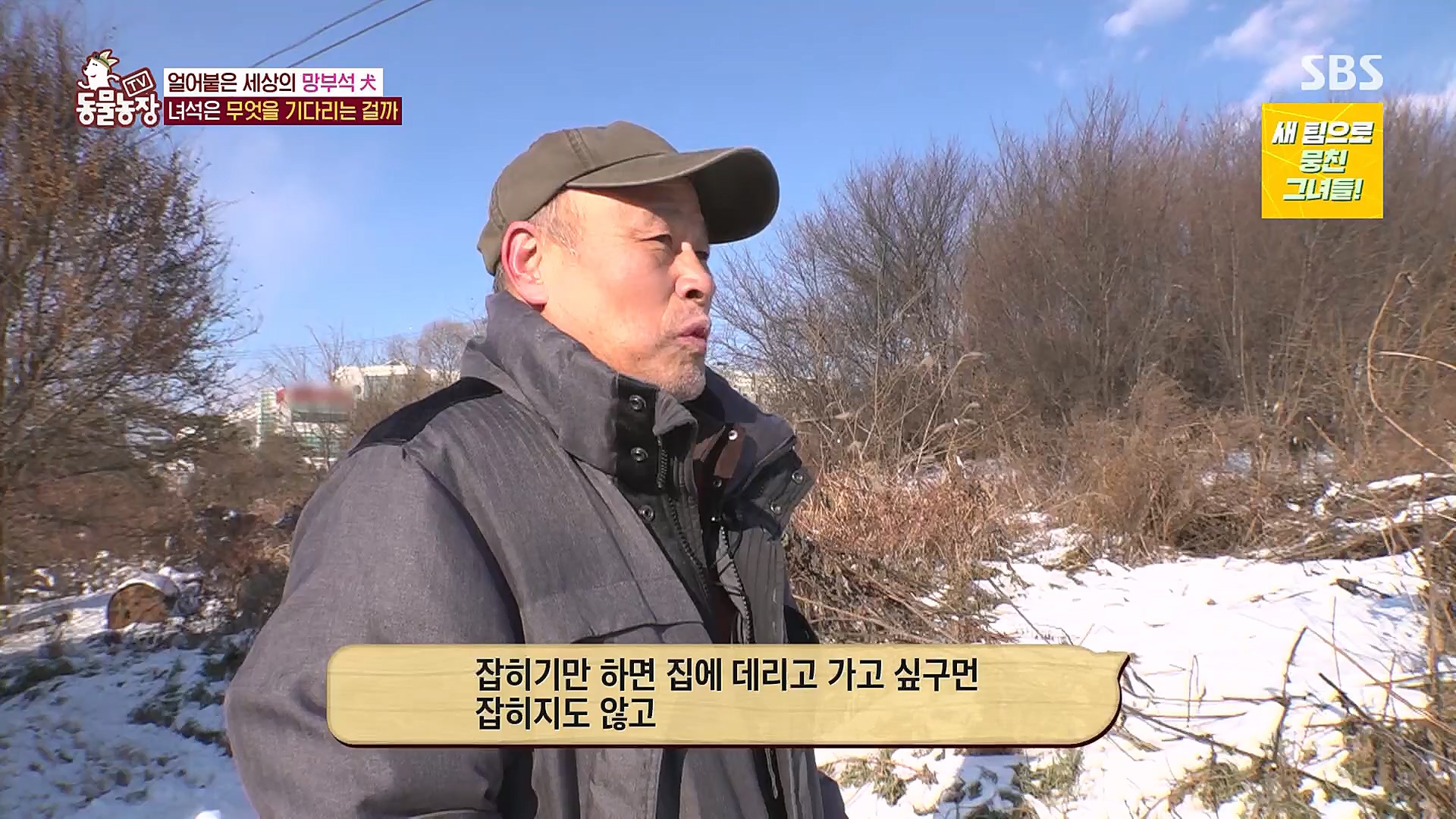 TV 동물농장.E1104.230115p.H264-F1RST.mp4_20230115_173216.667.jpg