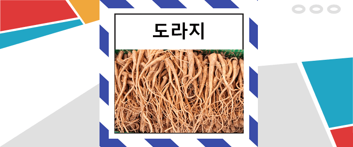  도라지 효능과 섭취 시 주의할 점