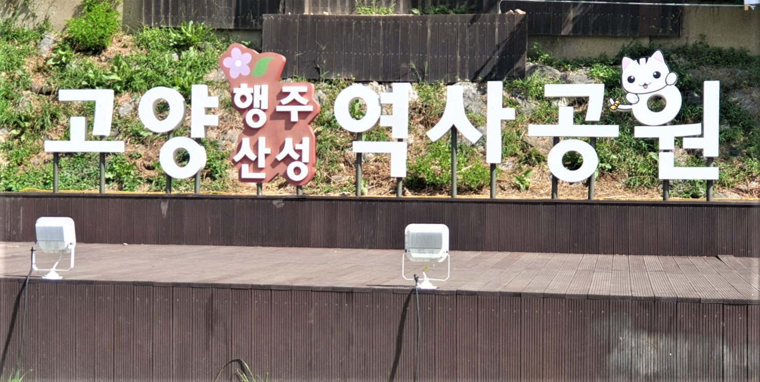  고양역사공원 황화코스모스꽃