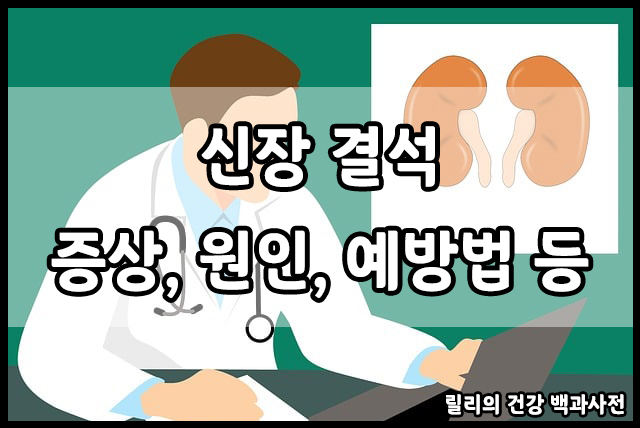  신장 결석 : 신장 결석의 증상, 원인, 위험 인자, 신장 결석과 커피, 신장 결석 예방 방법