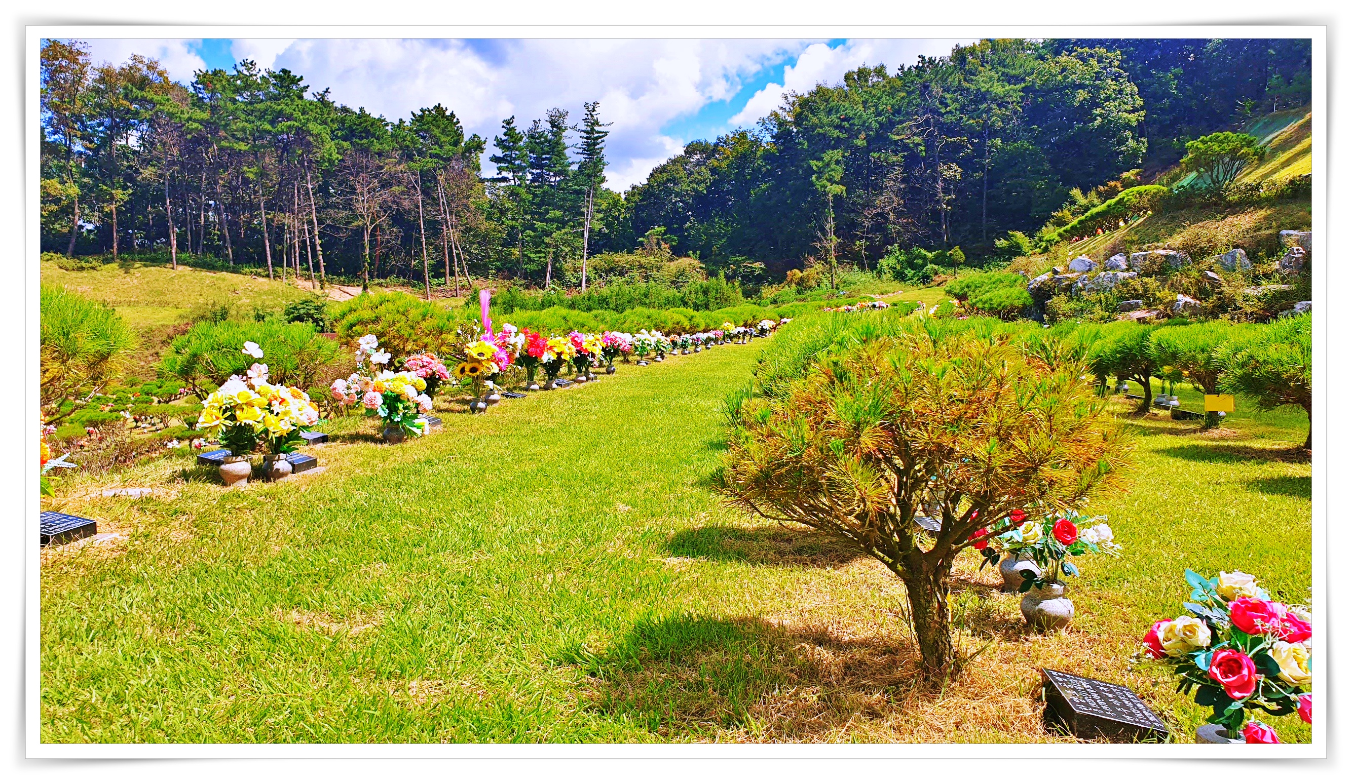 경기도 용인수목장