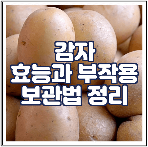  감자 효능과 부작용, 보관법 정리