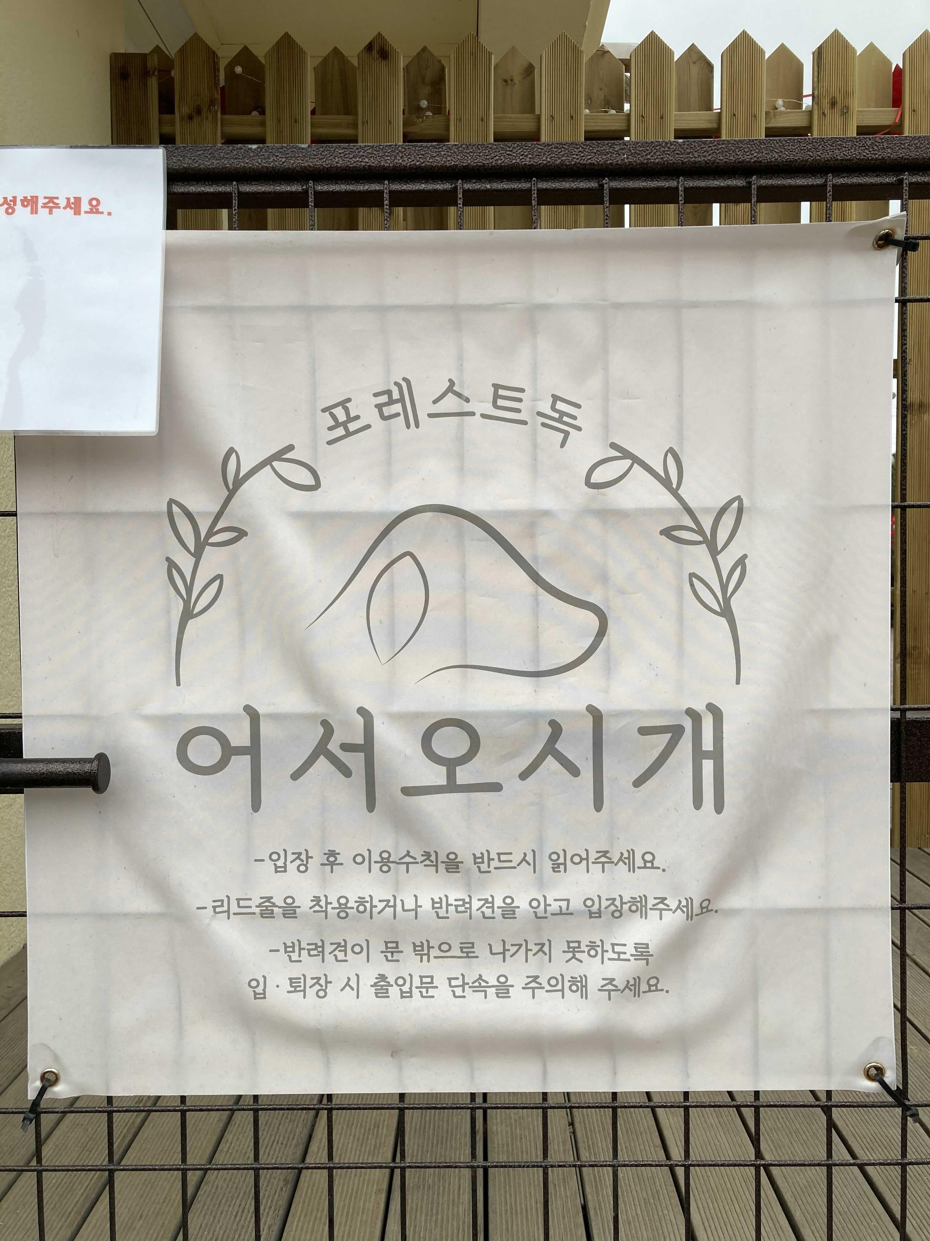  대전 애견카페 포레스트독