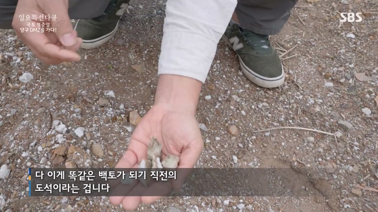 일요특선 다큐멘터리.E344.231204p-NEXT.mp4_20231206_194846.265.jpg