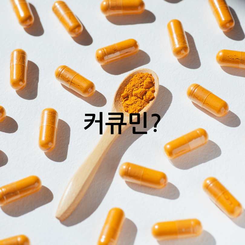 커큐민 흡수율 높인 제품