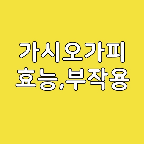  가시오가피 효능