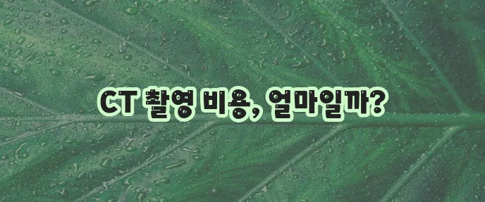 머리 복부 폐 CT 촬영 비용이 궁금하시죠!