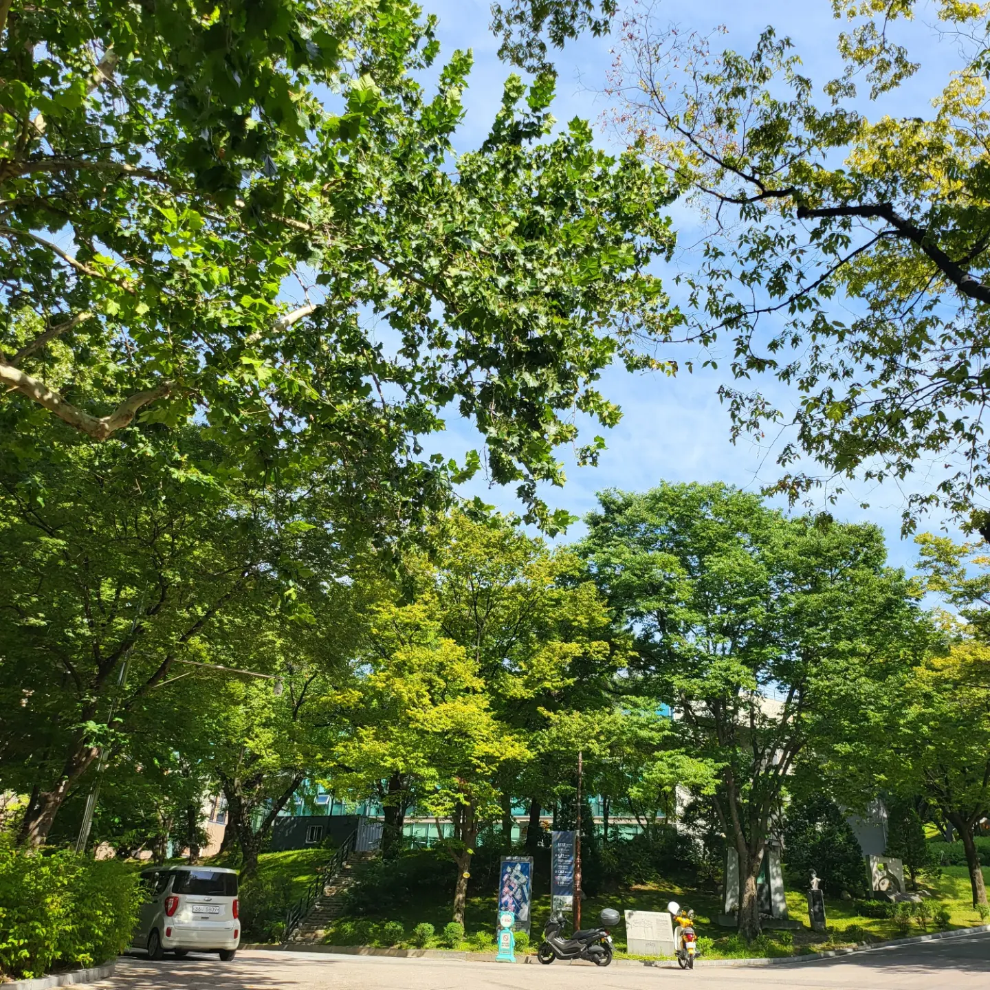 서울대학교 법학관 가는 방향