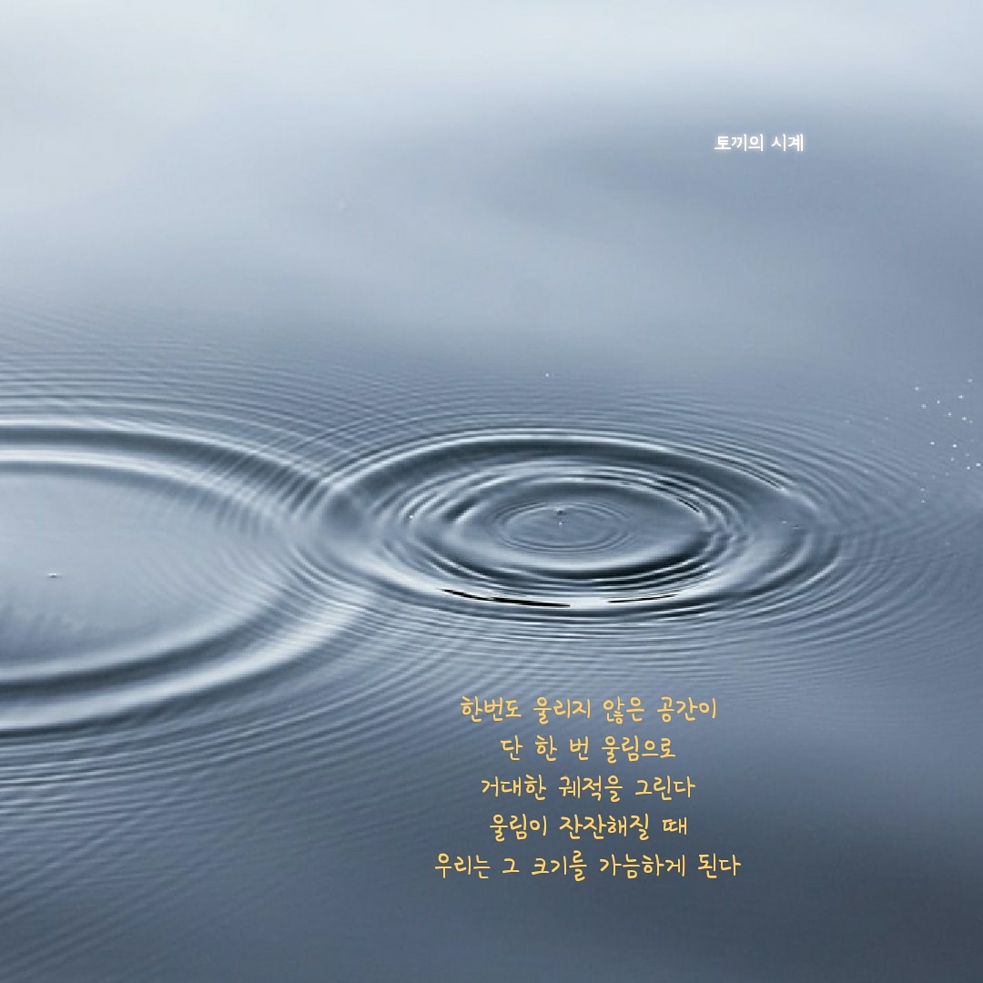  나는 시인이 되고 싶었다 19