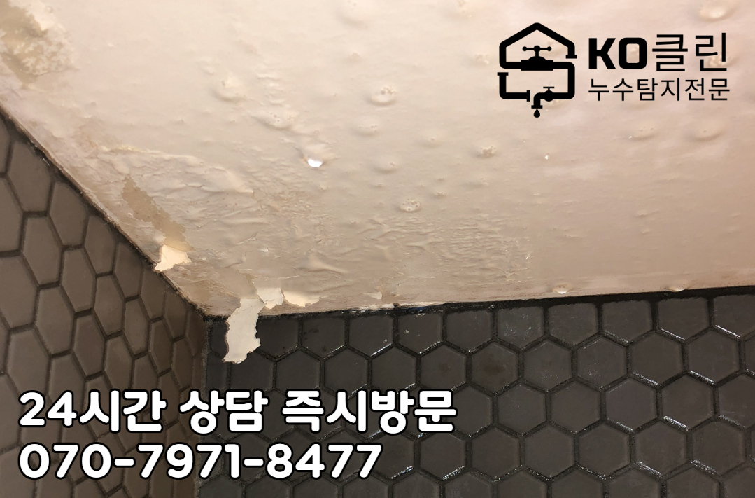 빌라 옥상 누수7