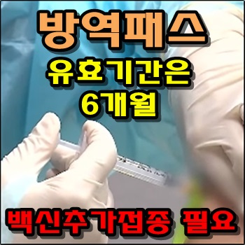  방역패스 유효기간 6개월까지 백신추가접종 필요
