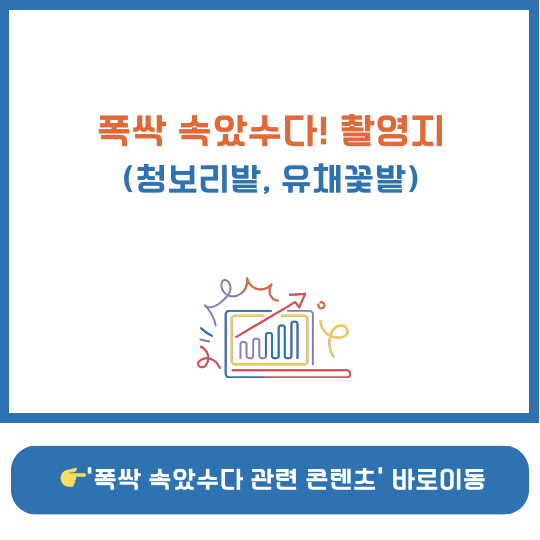 폭싹 속았수다 촬영지 고창 학원농장
