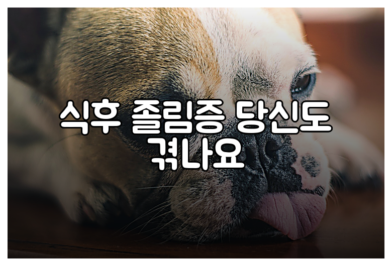 식후 졸림증 당신도 겪나요