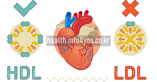 HDL 콜레스테롤이란?