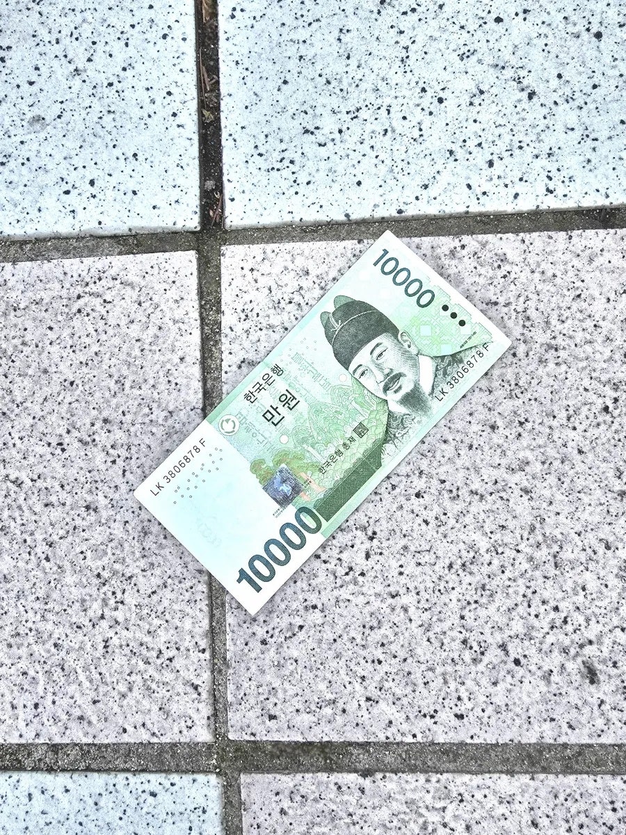 건반위에콩나물 이미지