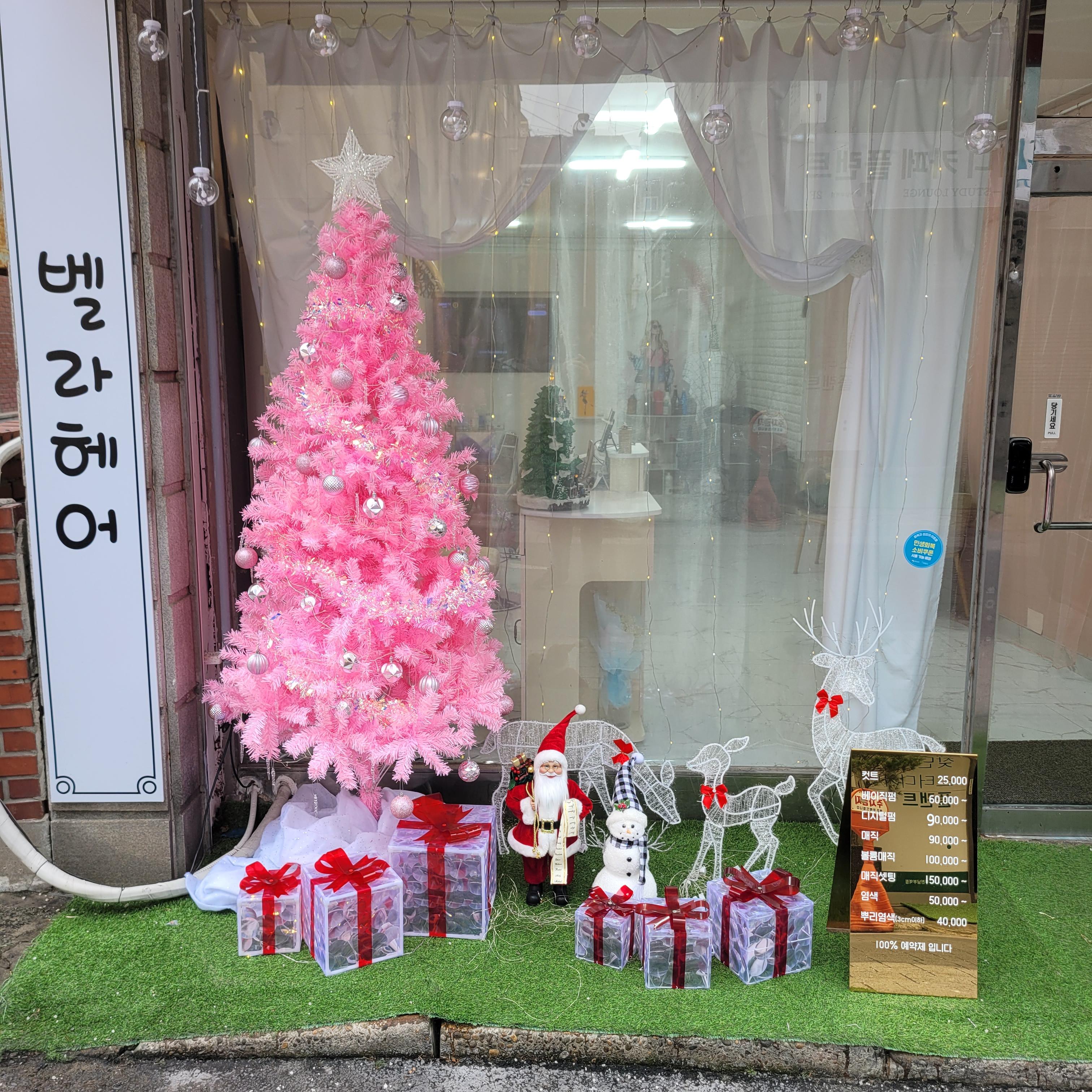 키친달팽이 사진 2