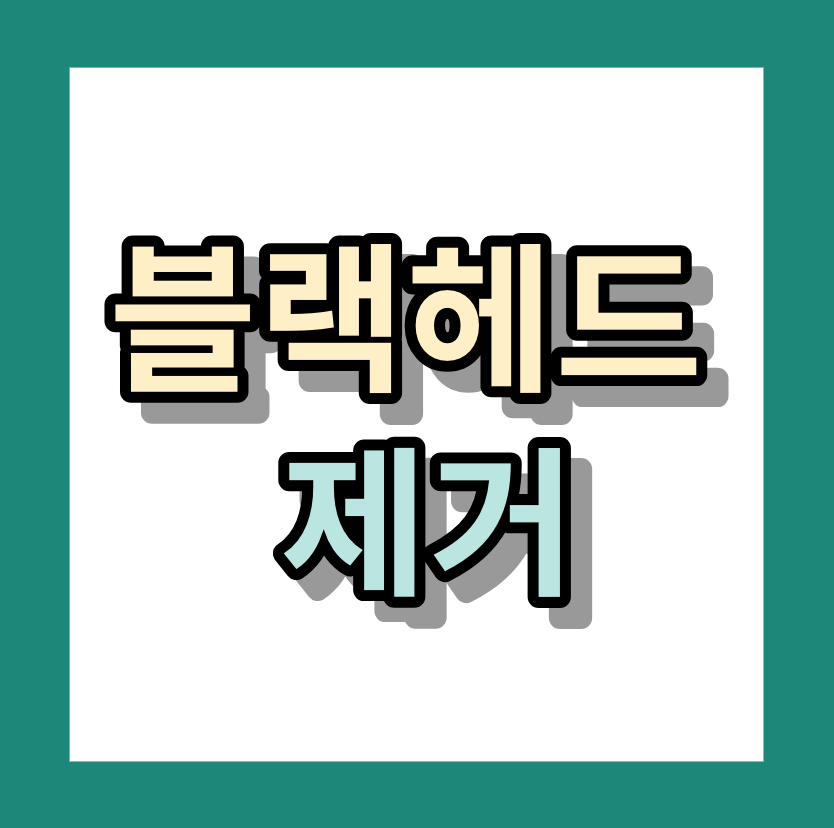 블랙헤드제거 &lt;코블랙헤드제거방법&gt;