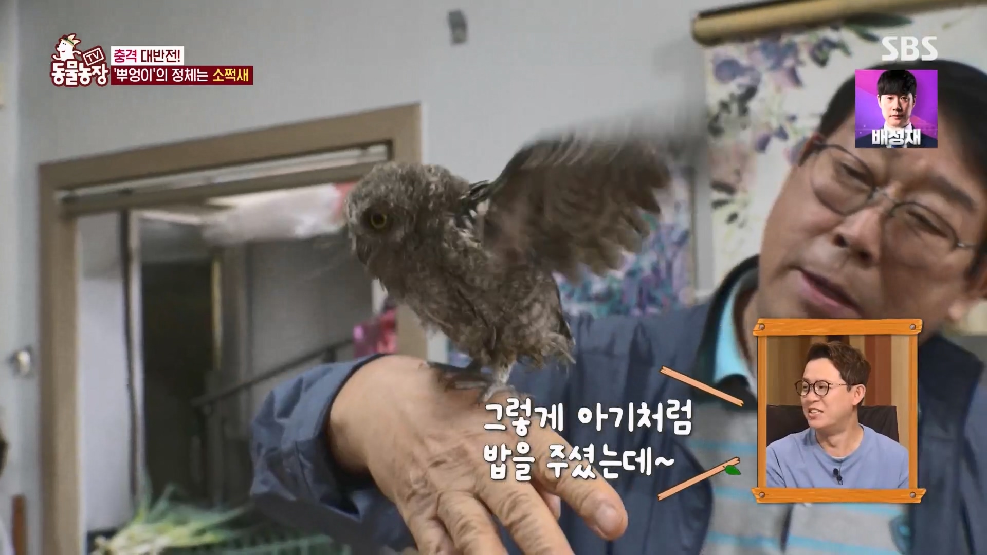 TV 동물농장.E1139.230924p.H264-F1RST.mp4_20230924_170913.712.jpg