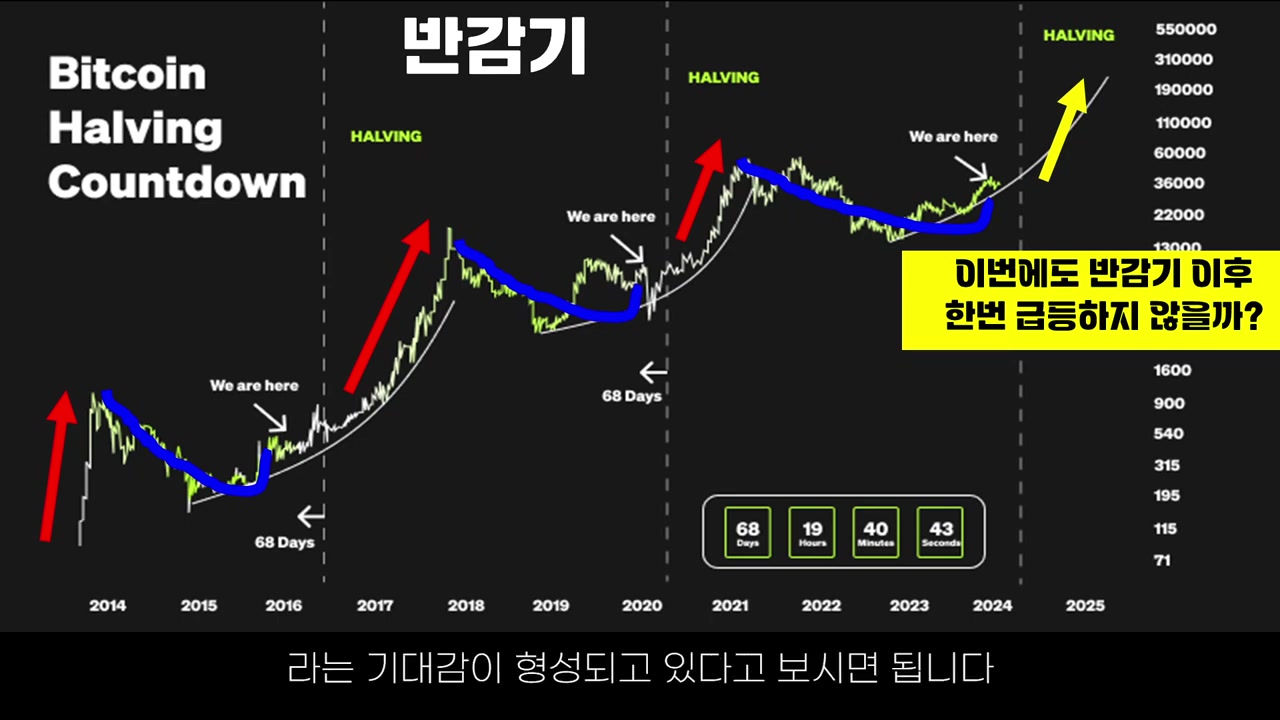 비트코인 전망