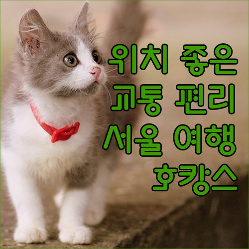 서울 중심가 위치 좋은 호텔은 어디일