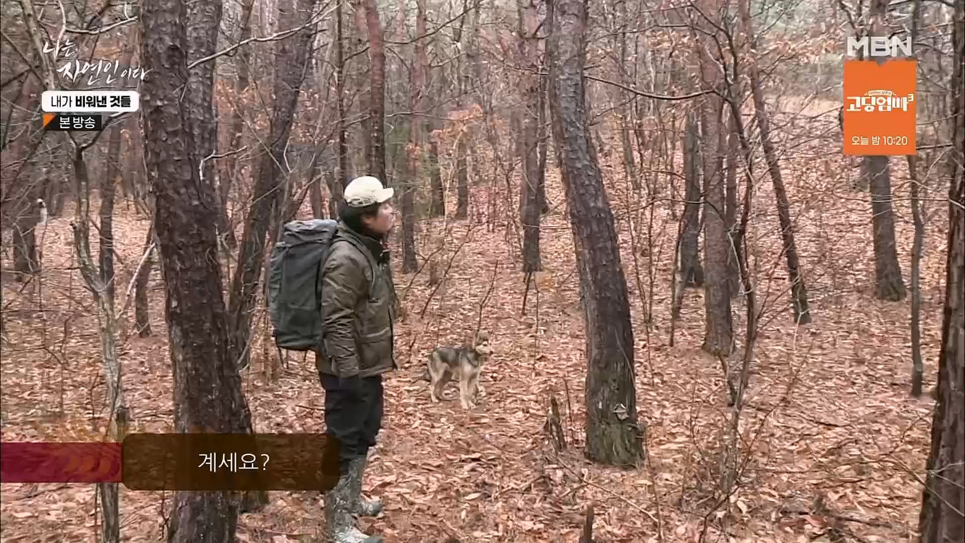 나는 자연인이다.E543.230301p.H264-F1RST.mp4_20230302_192637.865.jpg