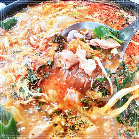  6시내고향 곱창전골 고향노포 고향정가게 충남 홍성 추천 맛집 돼지곱창구이 11월23일 방송 정보