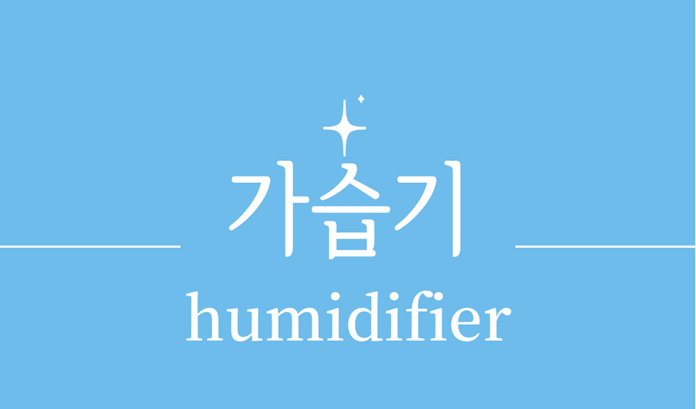 '가습기(humidifier)'