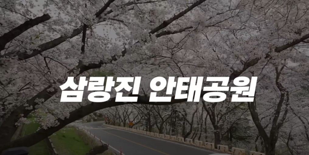 남도 여행지