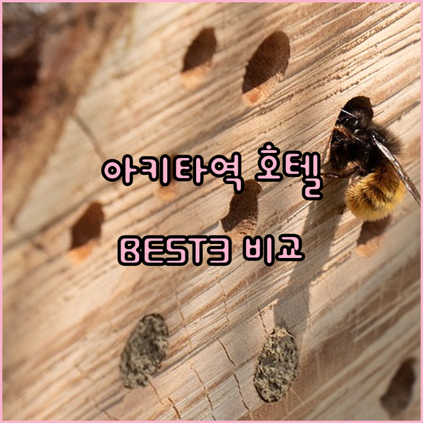 아키타역 근처 호텔 BEST 3 호텔