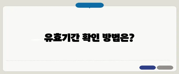 자동차 정기검사 유효기간 확인법