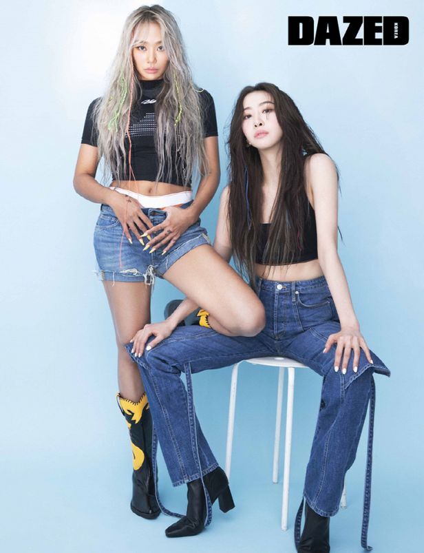 다솜 이미지